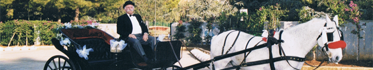 Carroza